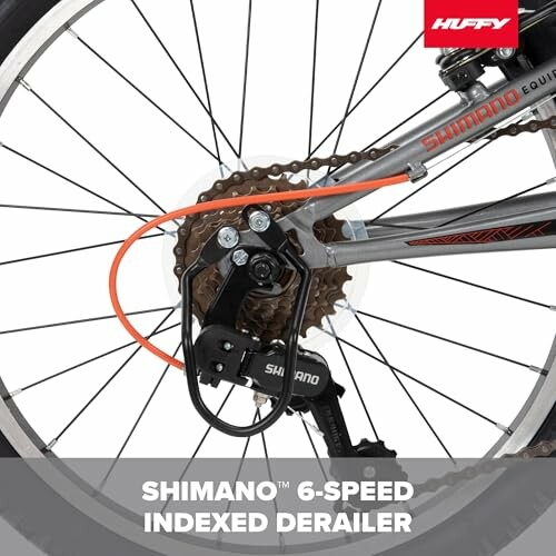 Close-up of Shimano 6-speed indexed derailleur on a bicycle.