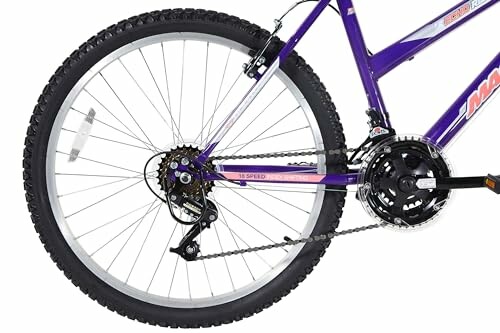 Rear wheel and gear system of a purple bicycle.